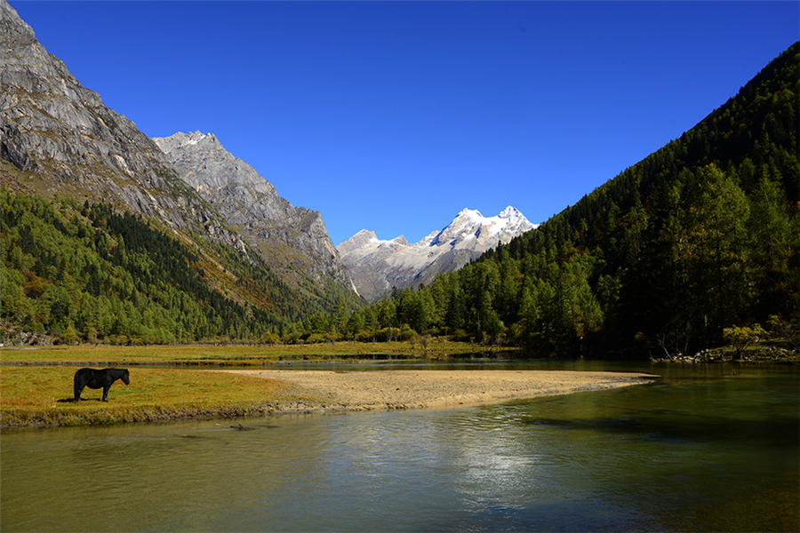 四姑娘山-長坪溝 (2)_副本.jpg