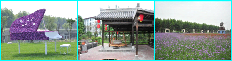上传 (6).png